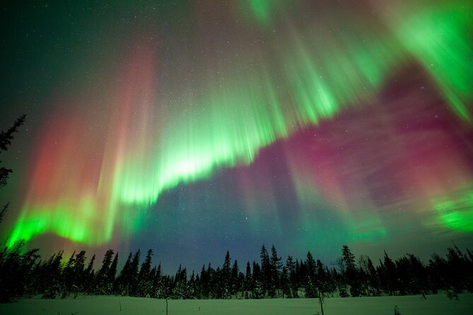 Private Group: Northern Lights Hunt 4x4 SUV with Aurora guarantee - Is $324.41 per person fair?