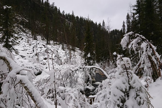 Private Korouoma Canyon Tour - Who should book this canyon day