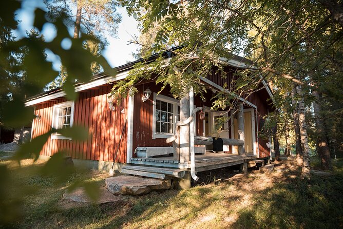 Private Lappish evening in the wilderness with traditional sauna and dinner - Salmon, vegetables, cookies, and warm glögi