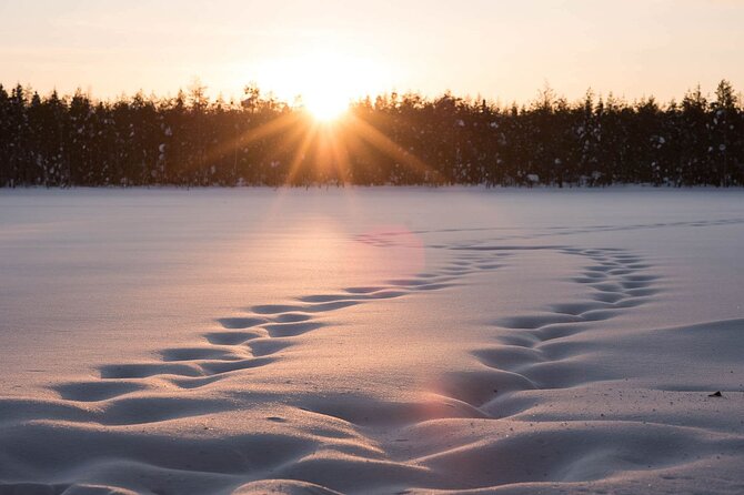 Private Lappish evening in the wilderness with traditional sauna and dinner - A private cottage beside an Arctic lake