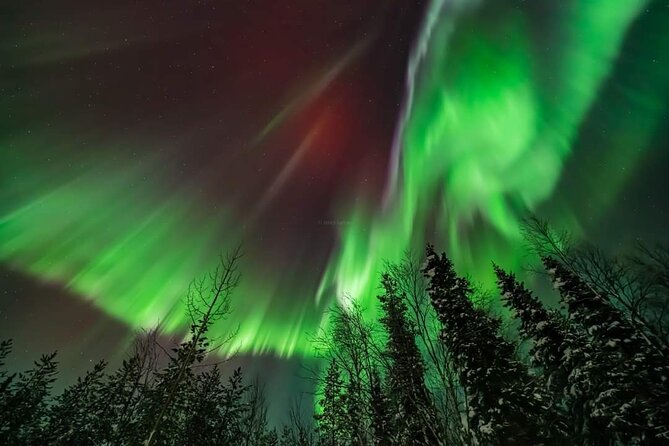 Private Northern Lights Hunting Tour Rovaniemi - Weather decides more than the price