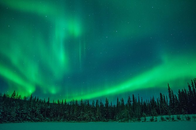 Private Northern Lights Hunting Tour Rovaniemi - A private ride changes the evening