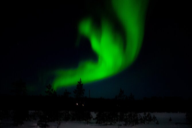 Private Northern Lights Tour With Skis Or Snowshoes in Pyhä - Choosing skis or snowshoes for your night out