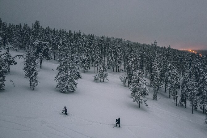 Private Northern Lights Tour With Skis Or Snowshoes in Pyhä - Weather, cancellations, and practical planning
