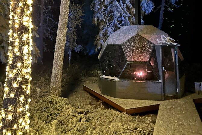 PRIVATE Party dinner in a Glass Igloo Under Northern Lights - Is $323.42 per person good value?