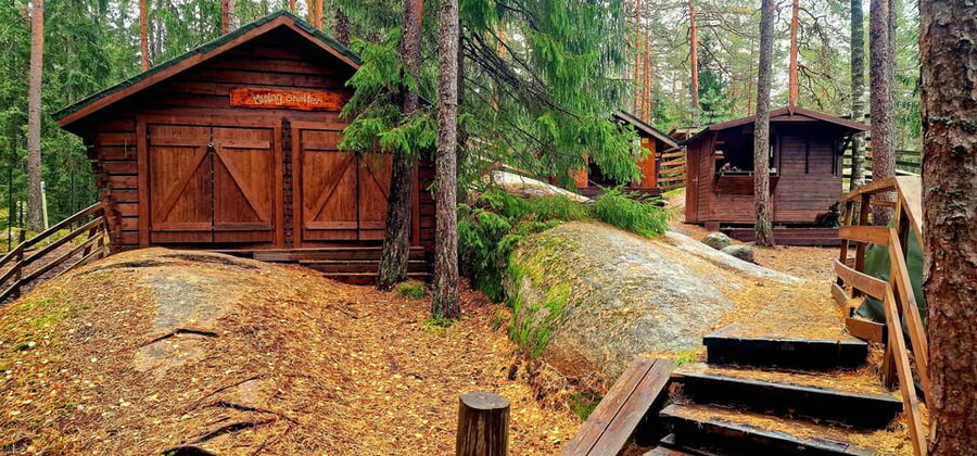 PRIVATE Reindeer Park Adventure by VIP Car - Who will enjoy this reindeer visit most?