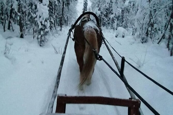 Private Sleigh Ride with Finnhorse - Key details before you book