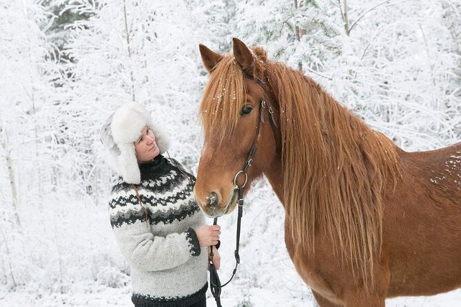 Private Sleigh Ride with Finnhorse - Practical advice for a comfortable ride
