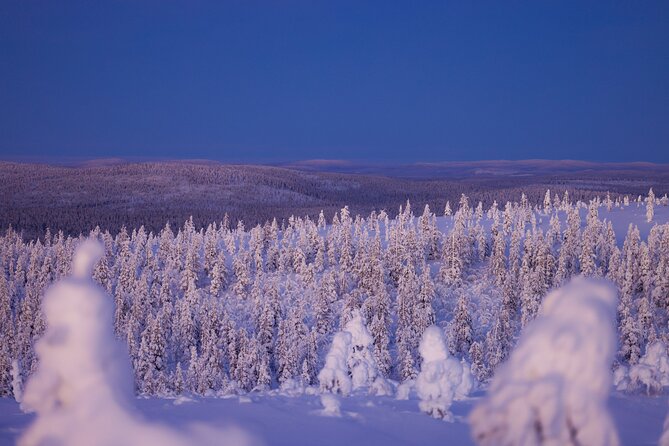 Private Snowshoe or Ski Adventure in Lapland from Rovaniemi - Choosing between an 8 to 15-kilometer hike and a remote 4 to 8-kilometer route
