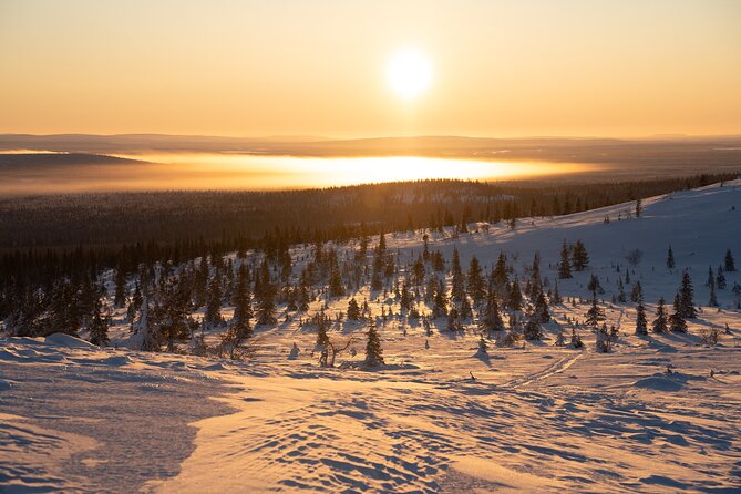 Private Snowshoe or Ski Adventure in Lapland from Rovaniemi - How private guiding changes the experience