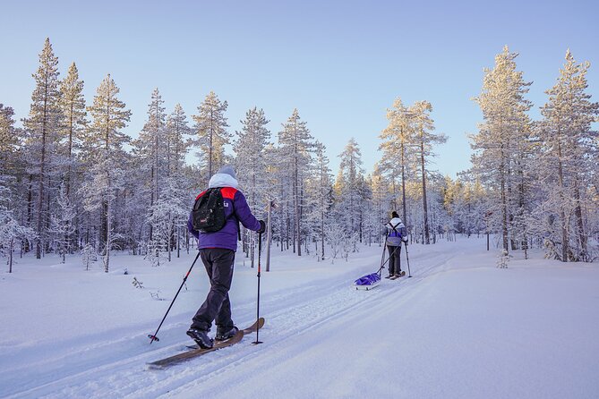 Private Snowshoe or Ski Adventure in Lapland from Rovaniemi - Is $1,183.48 good value for your group?