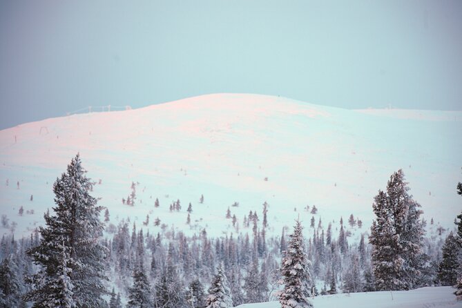 Private: Snowshoeing Safari in spectacular National Park - From Levi to the Pallas fells