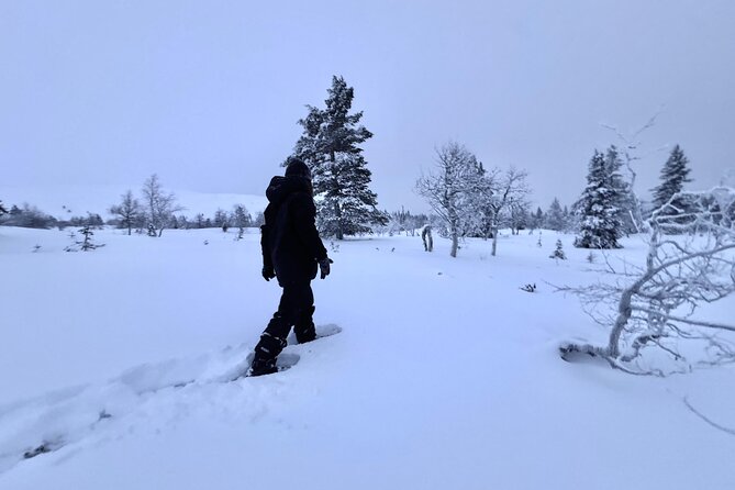 Private: Snowshoeing Safari in spectacular National Park - Why a private group changes the experience