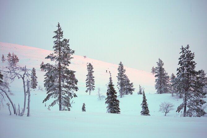 Private: Snowshoeing Safari in spectacular National Park - Who should book this snowshoeing trip?