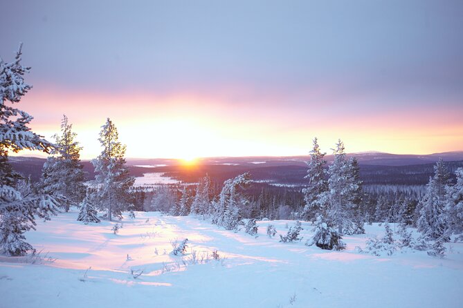 Private: Snowshoeing Safari in spectacular National Park - Snowshoeing in Pallas-Yllästunturi National Park