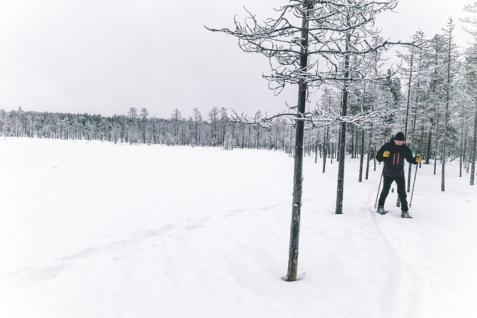 Private Snowshoeing Tour In Pyhätunturi With A Local Guide - Pyhätunturi and Pyhä-Luosto National Park