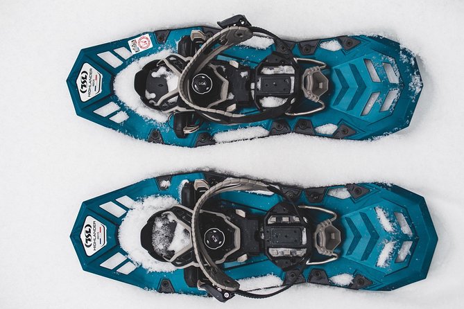 Private Snowshoeing Tour In Pyhätunturi With A Local Guide - Who should book this tour?