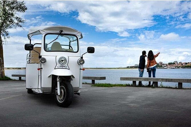 Private TukTuk guided tour in Helsinki 1,5 hours - The Modern Library at Töölö Bay Park