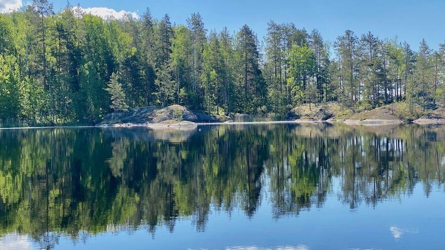 Puumala: Lake Saimaa Seal Watching Cruise - Meeting Captain Arto and settling aboard