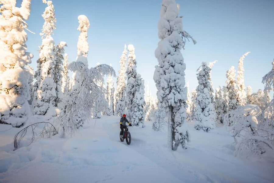 Pyhätunturi: Electric Fatbike Tour in Finnish Lapland - Warm berry drinks and stories in the forest