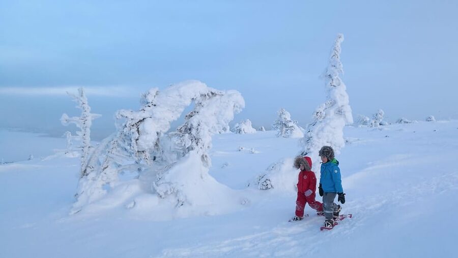 Pyhätunturi: Scenic Snowshoeing Tour in Finnish Lapland - Learning snowshoes before the forest walk