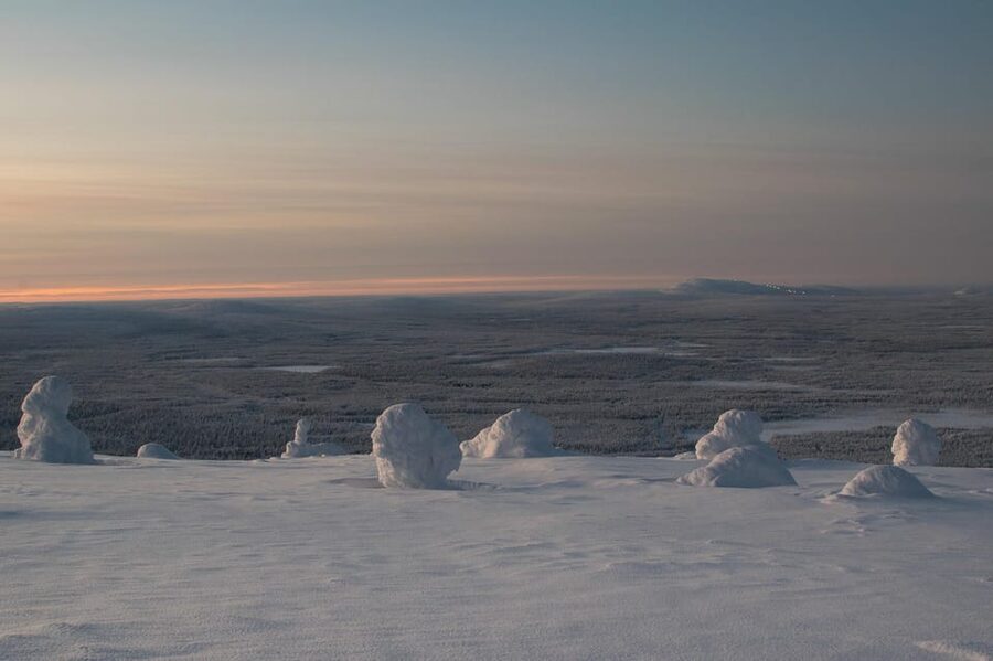 Pyhätunturi: Scenic Snowshoeing Tour in Finnish Lapland - Reindeer, hot berry drinks, and the return route
