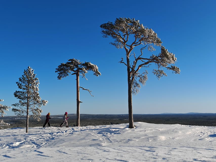 Pyhätunturi: Try Wilderness Skiing in Finnish Lapland - Who Will Enjoy This Most