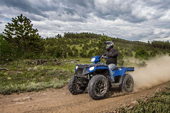 Quad Bike Safari in the Wilderness (ATV) - Key points to know before you book