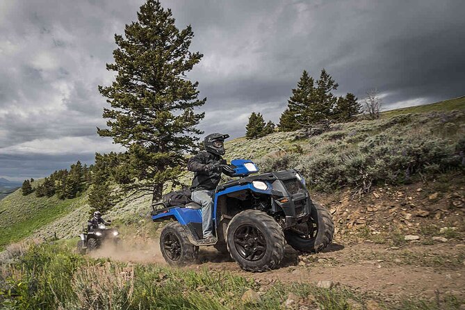 Quad Bike Safari in the Wilderness (ATV) - Who will enjoy this ATV safari most