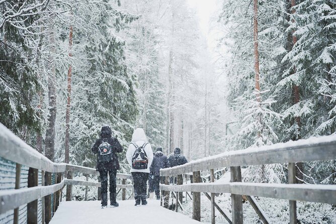 Ranua Wildlife Park Day: Visit the Arctic Animals - Walking the 2.5-Kilometer Winter Route
