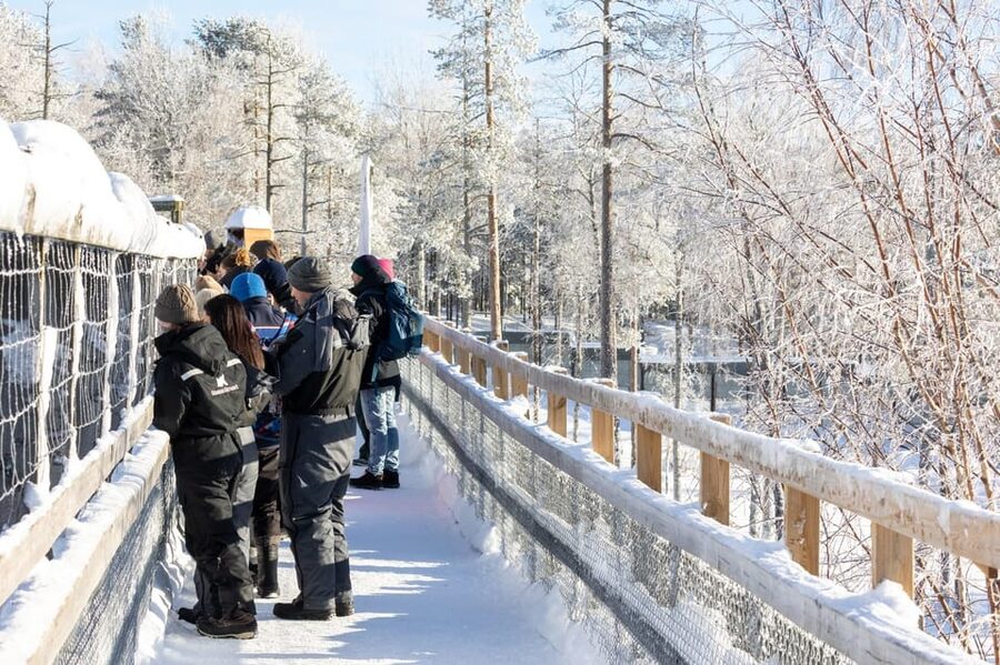 Ranua: Wildlife Park Entrance Ticket - Arctic animals worth slowing down for
