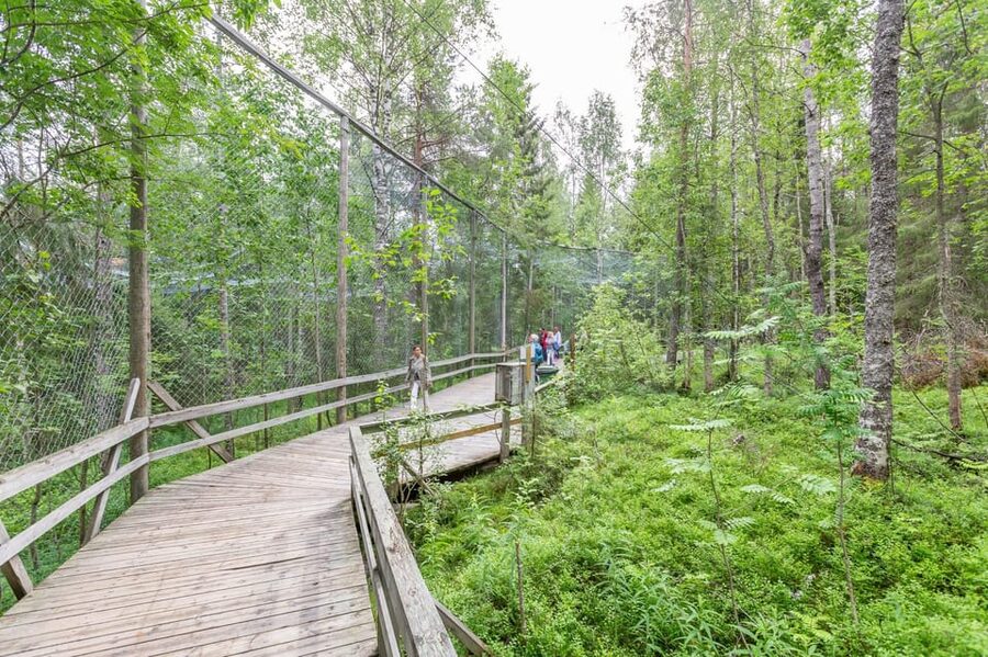 Ranua: Wildlife Park Entrance Ticket - How the seasons change your visit