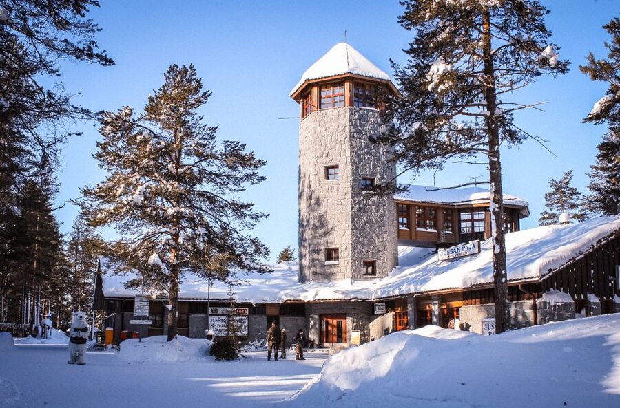 Ranua Wildlife Park Guided Tour from Rovaniemi - Meeting Ranua’s 50 northern species