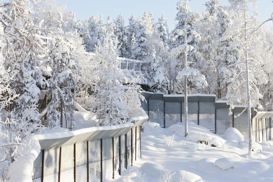 Ranua Wildlife Park Guided Tour from Rovaniemi - Who should book this Ranua tour?