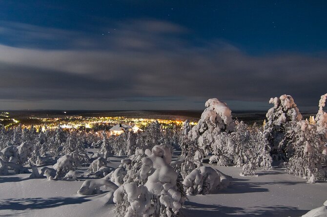 Ranua Zoo- Guided day tour from Rovaniemi - The ride from Rovaniemi and what the timing means
