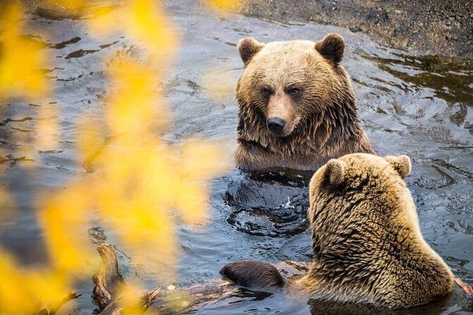 Ranua Zoo- Guided day tour from Rovaniemi - Who will get the most from this tour