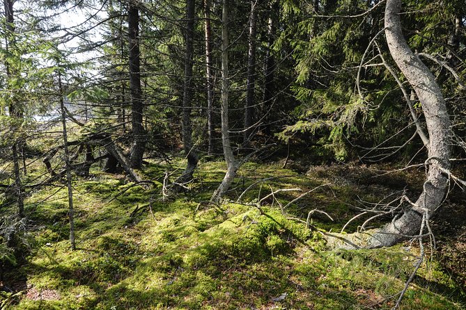 Redrib Cottage Locals Experience - Weather, Clothing, and Physical Effort