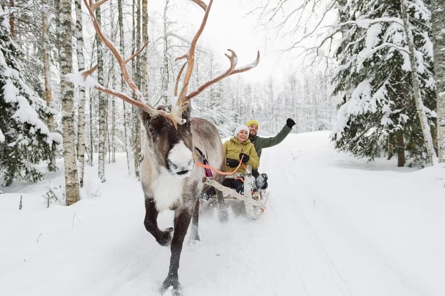 Reindeer Farm Visit with Sleigh Ride - Is $140 a fair price?
