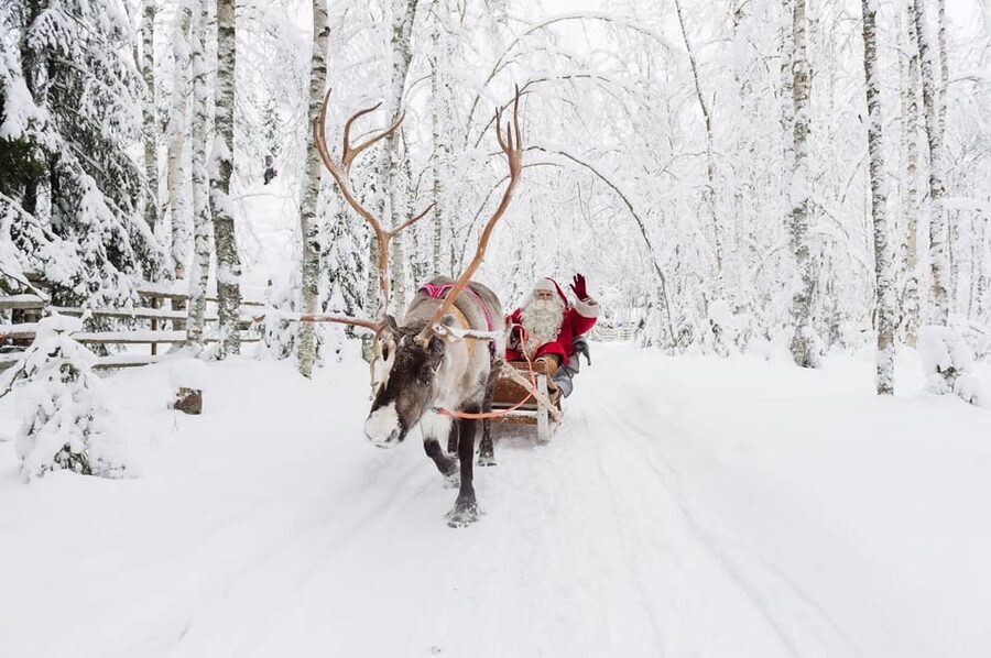 Reindeer Farm Visit with Sleigh Ride - Who will enjoy this most?