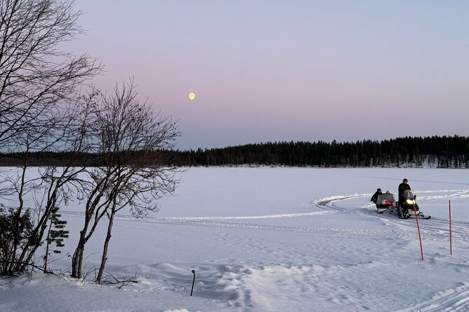 Reindeer Husbandry with Snowmobile Sleigh Ride and Cabin Lunch - Why this Levi excursion feels different