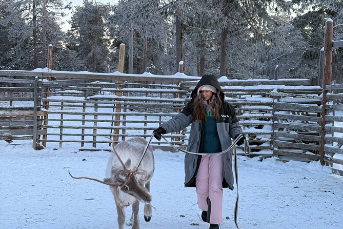 Reindeer Husbandry with Snowmobile Sleigh Ride and Cabin Lunch - Lunch by the fire in a Finnish kota