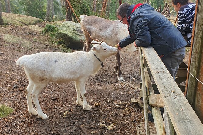 Reindeer Park Adventure - Timing, weather, and what to clarify