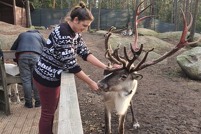 Reindeer Park Adventure - Is the Reindeer Park Adventure worth booking?