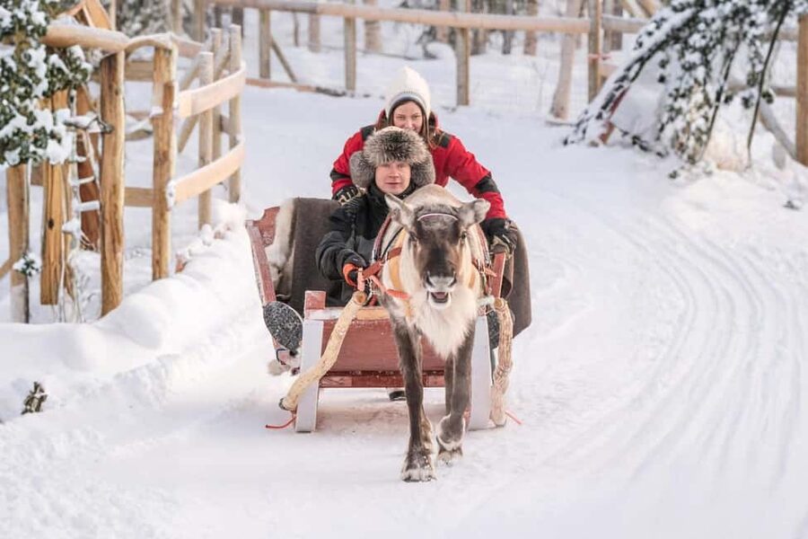 Reindeer Safari at a 200-Year-Old Farm & Long Sled Ride - A farm visit with roots reaching back generations