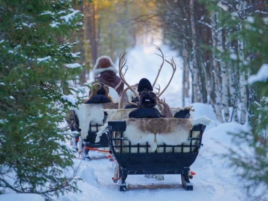 Reindeer Safari at a 200-Year-Old Farm & Long Sled Ride - What the farm setting adds to the experience