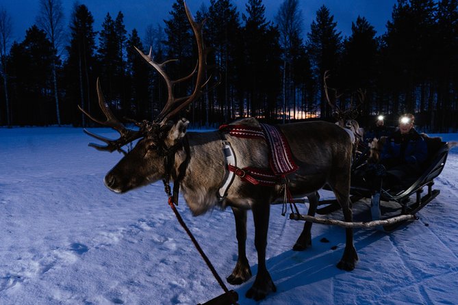 Reindeer Sleigh Ride Across the Night in Apukka Resort Rovaniemi - Stopping at the fire for sausage and hot juice