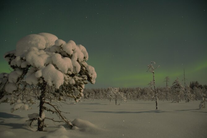 Reindeer Sleigh Ride Across the Night in Apukka Resort Rovaniemi - Looking for the Northern Lights after dark