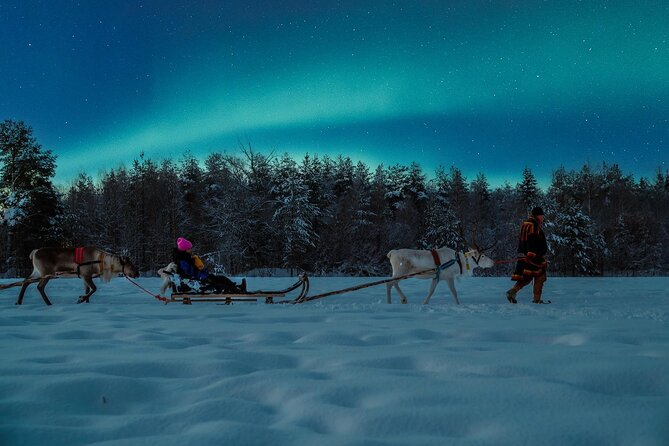 Reindeer Sleigh Ride Across the Night in Apukka Resort Rovaniemi - Who will enjoy this Apukka experience?