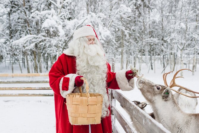 Reindeer Sleigh Ride and Farm Experience from Rovaniemi - Key points at a glance