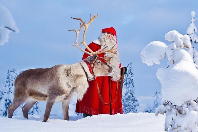 Reindeer Sleigh Ride and Farm Experience from Rovaniemi - What this Rovaniemi reindeer experience actually includes